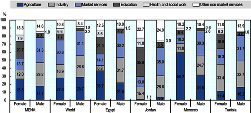COVID‑19 dans la région MENA : impact sur les inégalités de genre et réponses apportées en soutien aux femmes