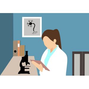  Pourquoi l’égalité entre les sexes n’efface-t-elle pas les ségrégations dans les filières scientifiques ?