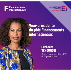 Elisabeth TCHOUNGUI nommée Vice-Présidente du pôle Financements internationaux du Mouvement des Entreprises de France International.